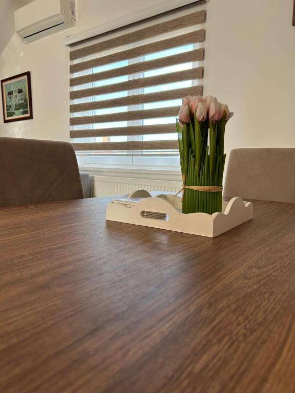Fotografie z fotogalerie ubytování Apartman Dunja v destinaci Aranđelovac