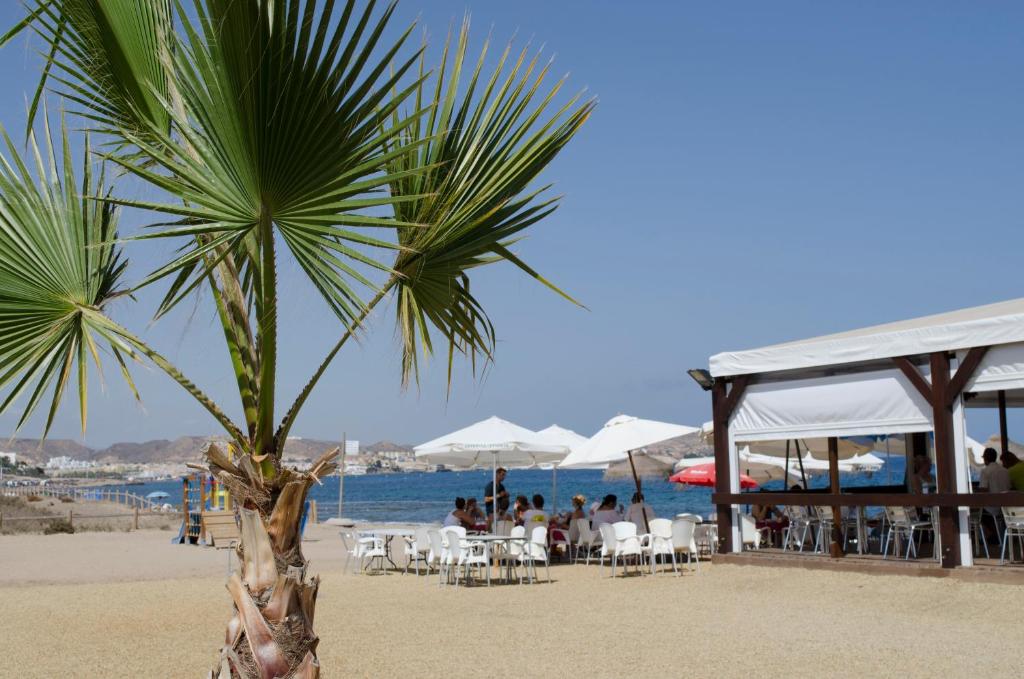a palm tree on the beach with a restaurant at Mar de Pulpí Costa de Almeria by Mar Holidays in San Juan de los Terreros