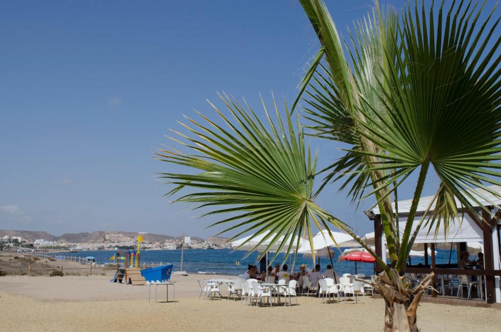 a palm tree on a beach with people sitting in chairs at Mar de Pulpí Costa de Almeria by Mar Holidays in San Juan de los Terreros