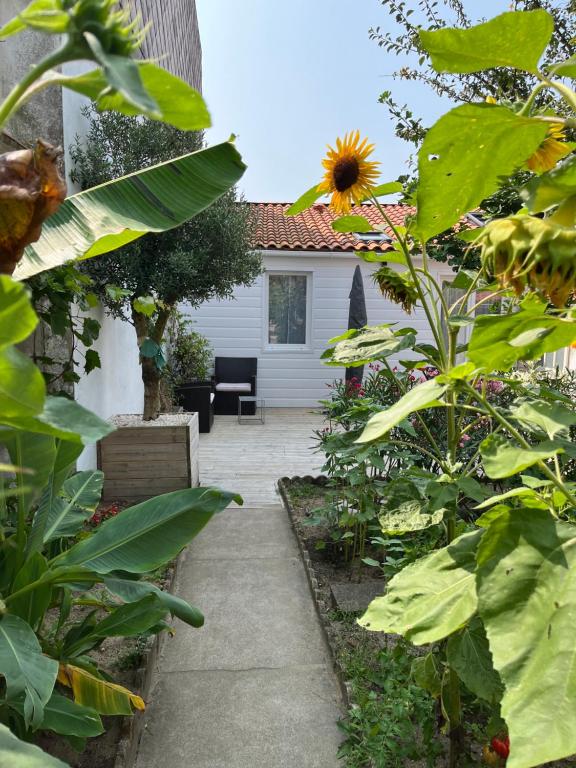 un jardin avec un tournesol et une maison dans l'établissement Maisonnette quartier Arago, à Les Sables-dʼOlonne