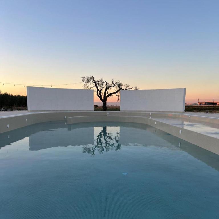 a pool of water with a tree in the background at LA MASSARÌA agriresort in Orta Nova
