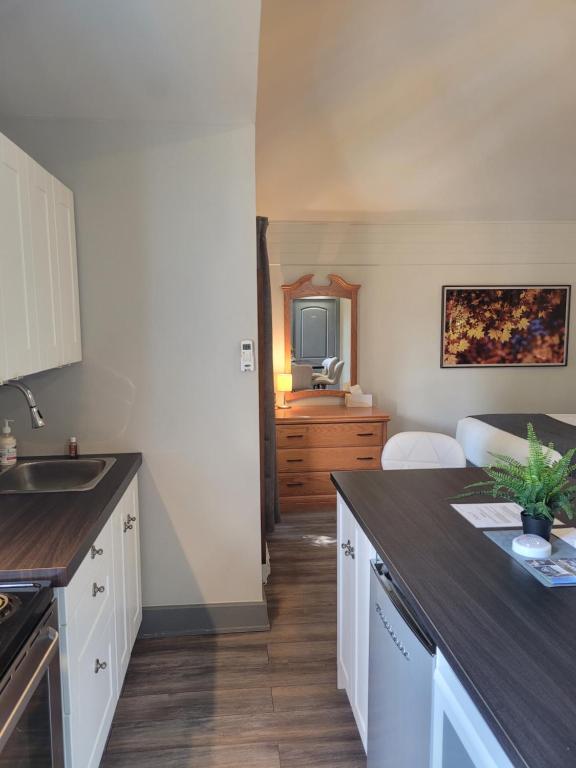 a kitchen with a sink and a counter top at Oberge Inn Val-David in Val-David
