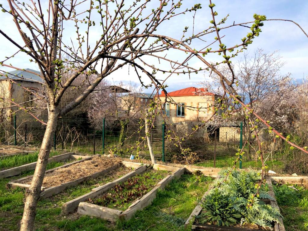 Zahrada ubytování Lokokina Guesthouse