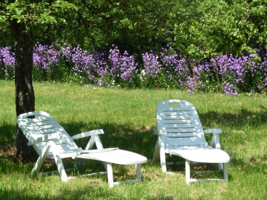 Zahrada ubytování Grande maison rénovée avec jardin clos, idéale pour familles et amis, équipements variés, animaux acceptés - FR-1-489-50