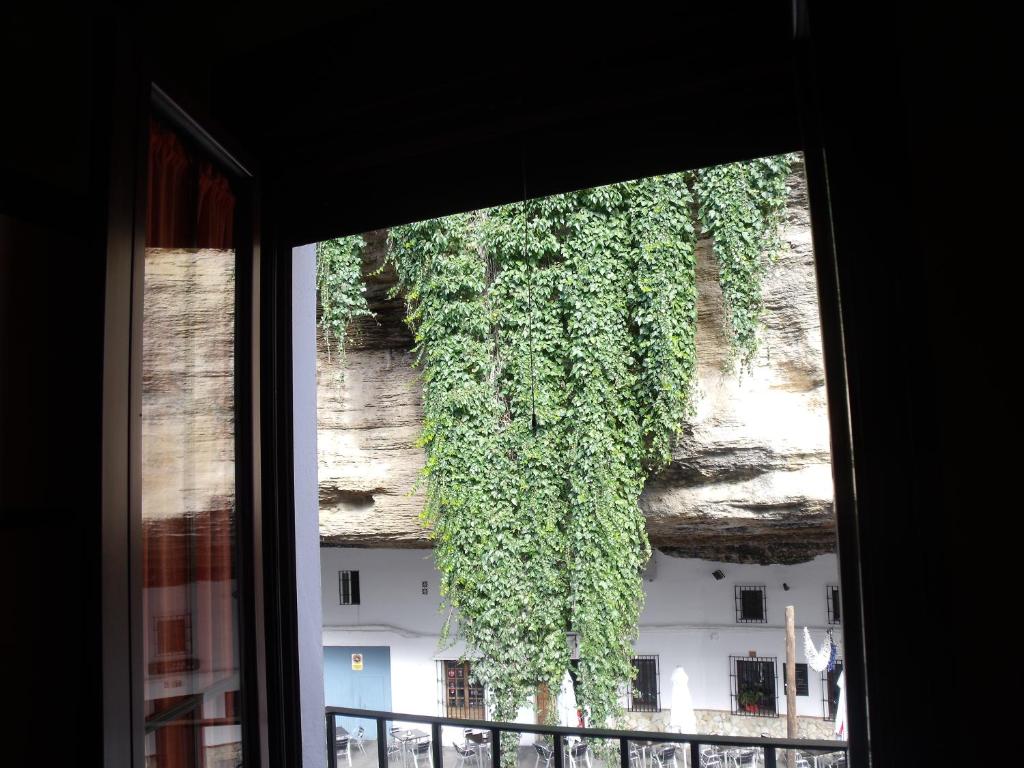 una ventana con vistas a un edificio con vides en Entrecuevas, en Setenil