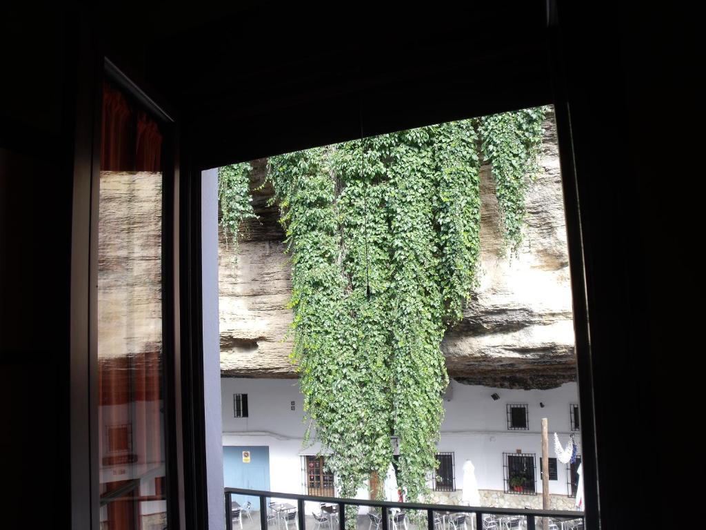 a window with a view of a building with vines at Entrecuevas in Setenil