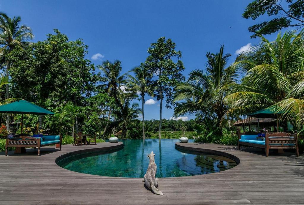 Permata Ayung Private Estate - Kudussuite Omlaag