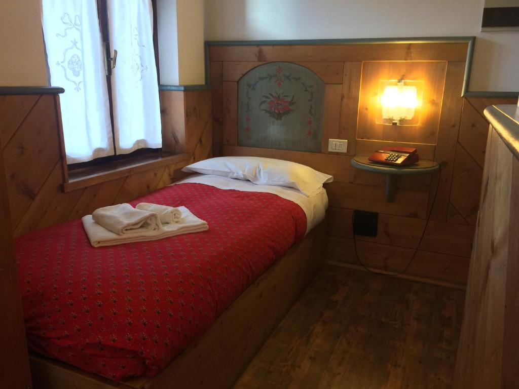 Hotel Alemagna - Single Room