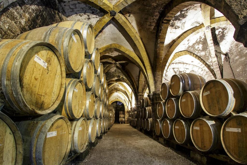 Fotografie z fotogalerie ubytování Suite familiale "Le Logis des Ptits Lynx" v destinaci Montain