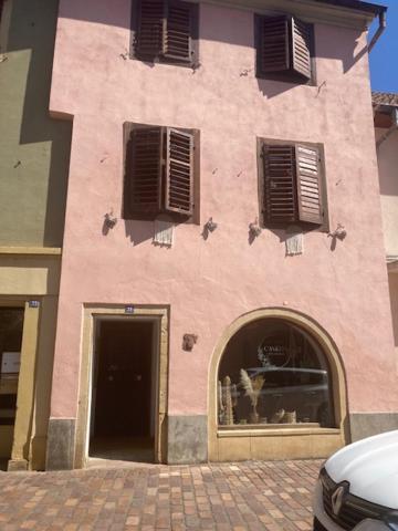 L'Alsacienne – photo 8