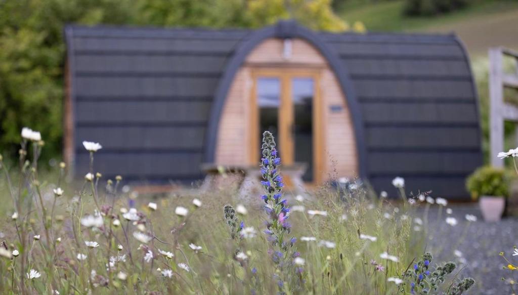 Isla Pod, Kilry eco pods 8