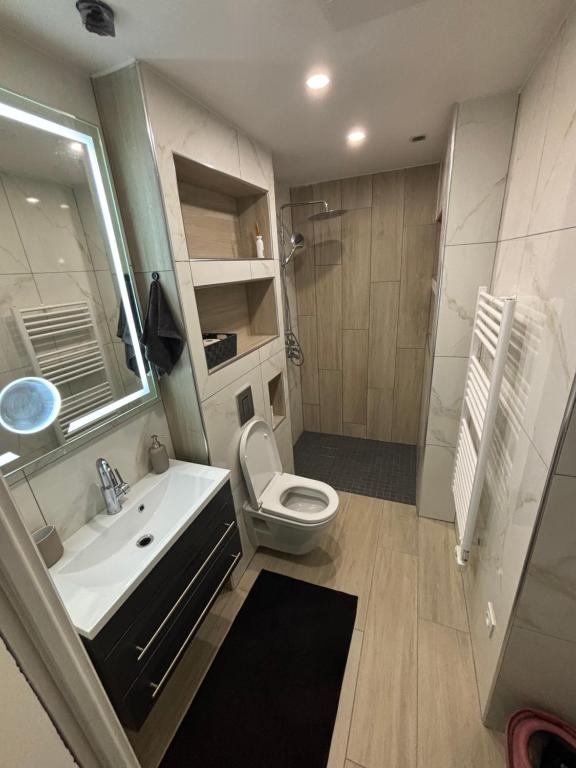 une salle de bain avec un lavabo, des toilettes et une douche dans l'établissement Petit appartement T2 confortable, à Lancrans