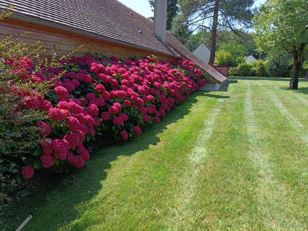 Κήπος έξω από το Gite de Miprovent