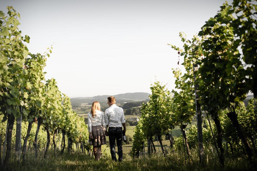 Hosté ubytování Pfeifer Weingut
