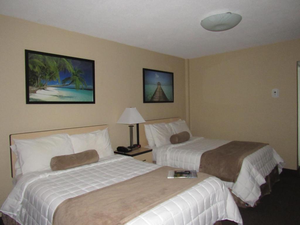 Cove Motel Oceanfront photo