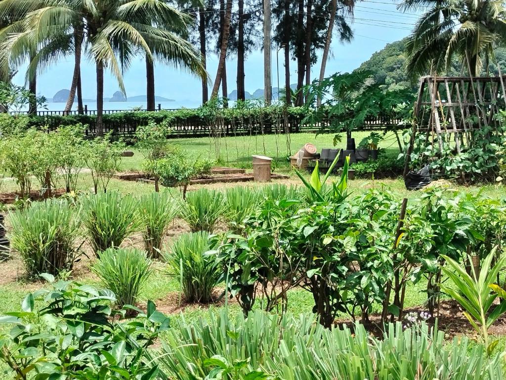 Suntisook Resort - 17