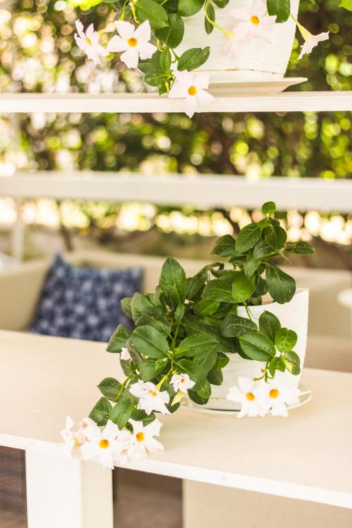 Zahrada ubytování Hotel Praja