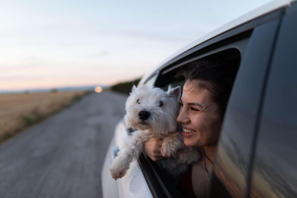 FirstName Bordeaux, Part of JdV by Hyatt - Resim 19