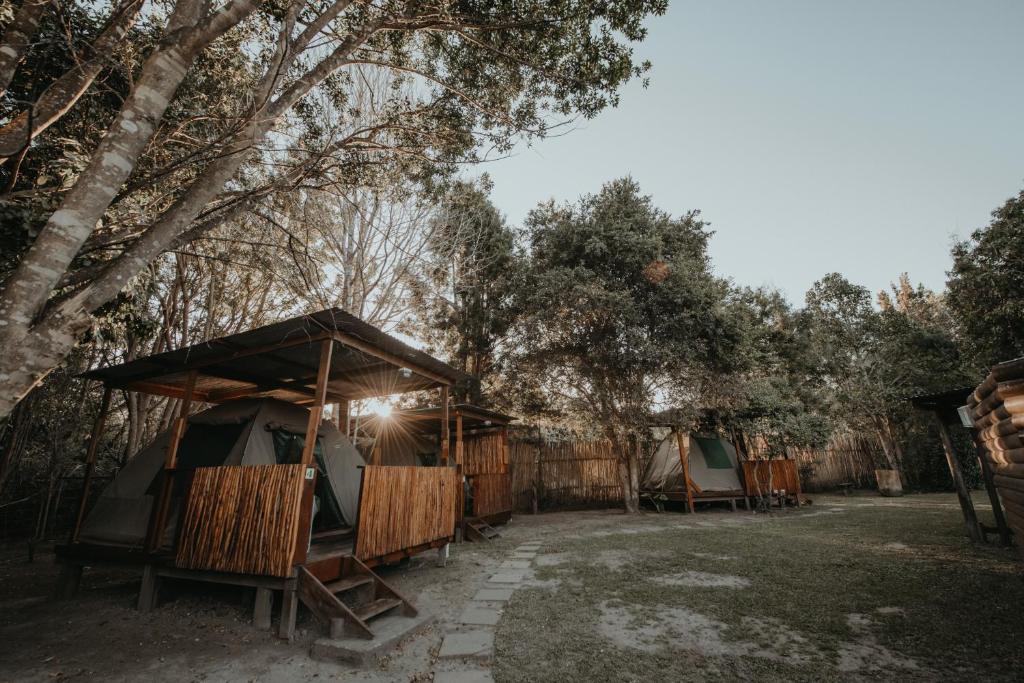 Foto dalla galleria di Storms River Forest Lodge a Stormsrivier
