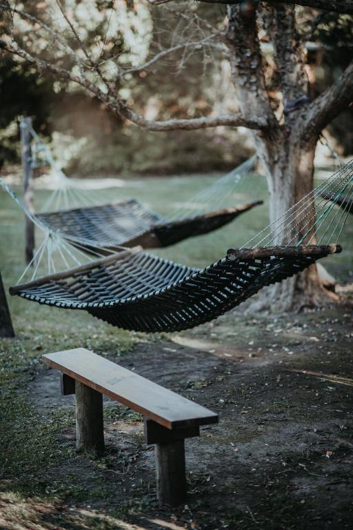 Foto dalla galleria di Storms River Forest Lodge a Stormsrivier