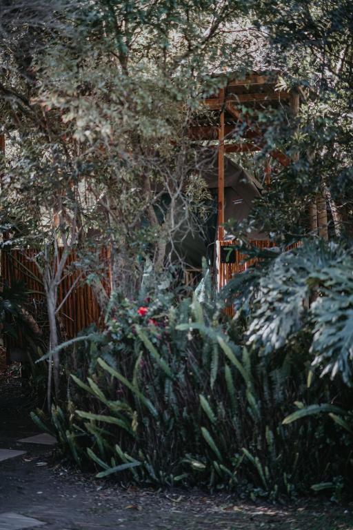 Giardino di Storms River Forest Lodge