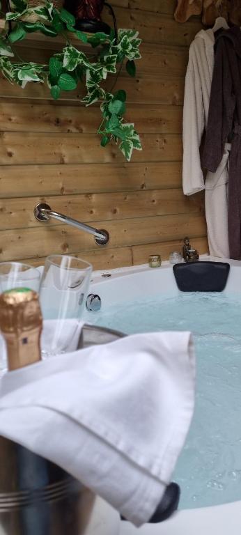 Les Glycines de Monchy- Chambres d'hôtes - Chalet Con Una Camera Da Letto