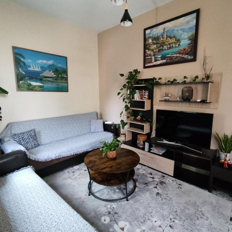 Posezení v ubytování Napier Apartment