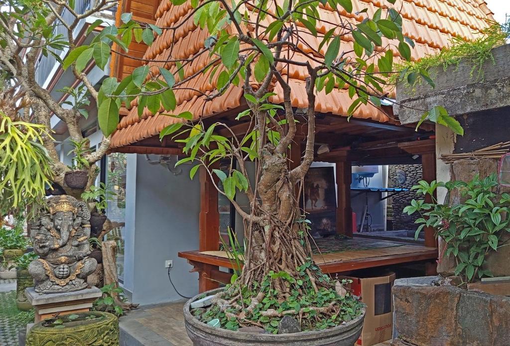 Zahrada ubytování Mahaguna Ubud