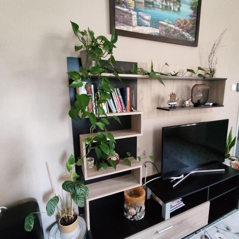 TV a/nebo společenská místnost v ubytování Napier Apartment