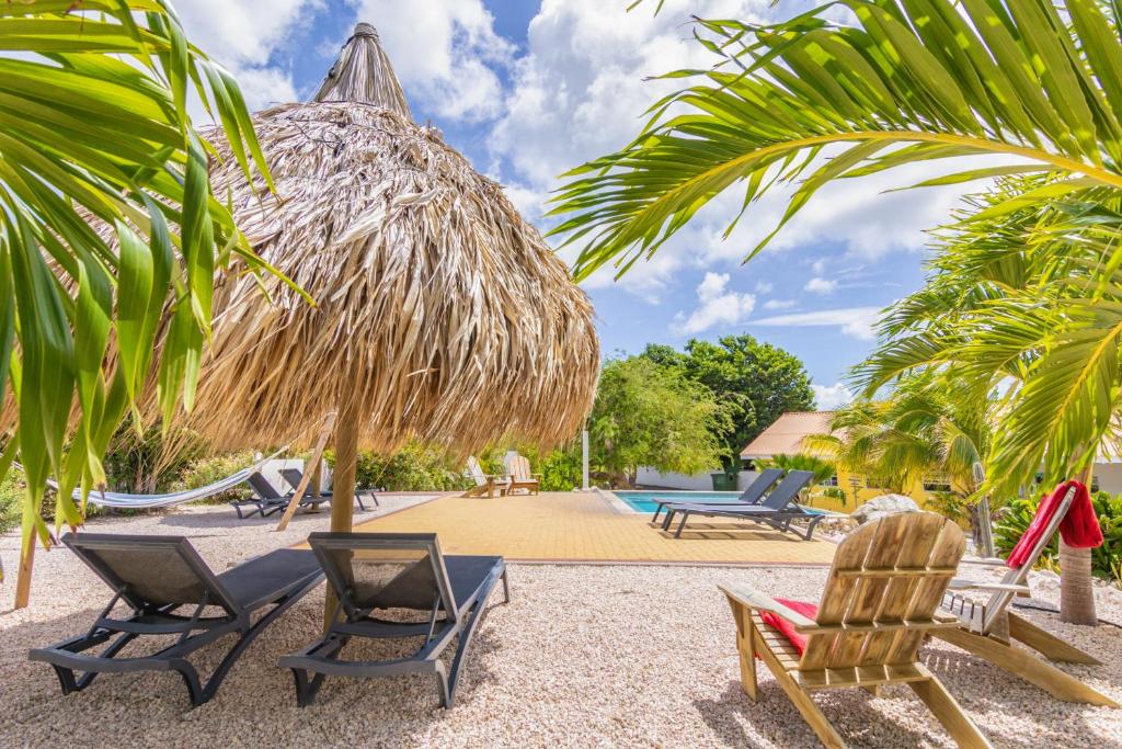 Zahrada ubytování ABC Lodges Curacao