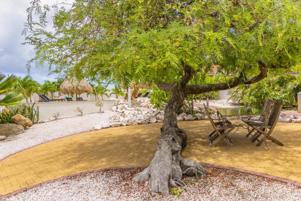 Zahrada ubytování ABC Lodges Curacao