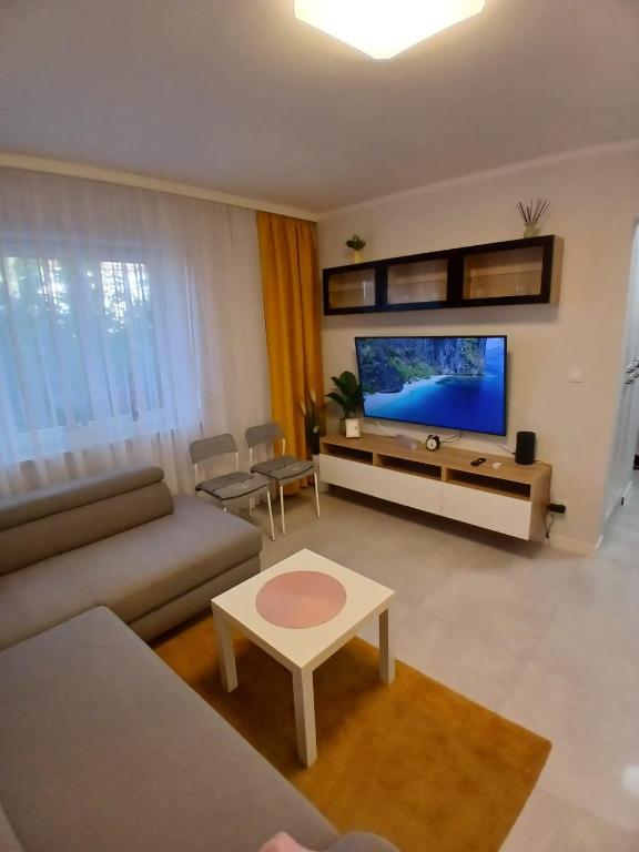 TV a/nebo společenská místnost v ubytování Apartament Euro Bytom