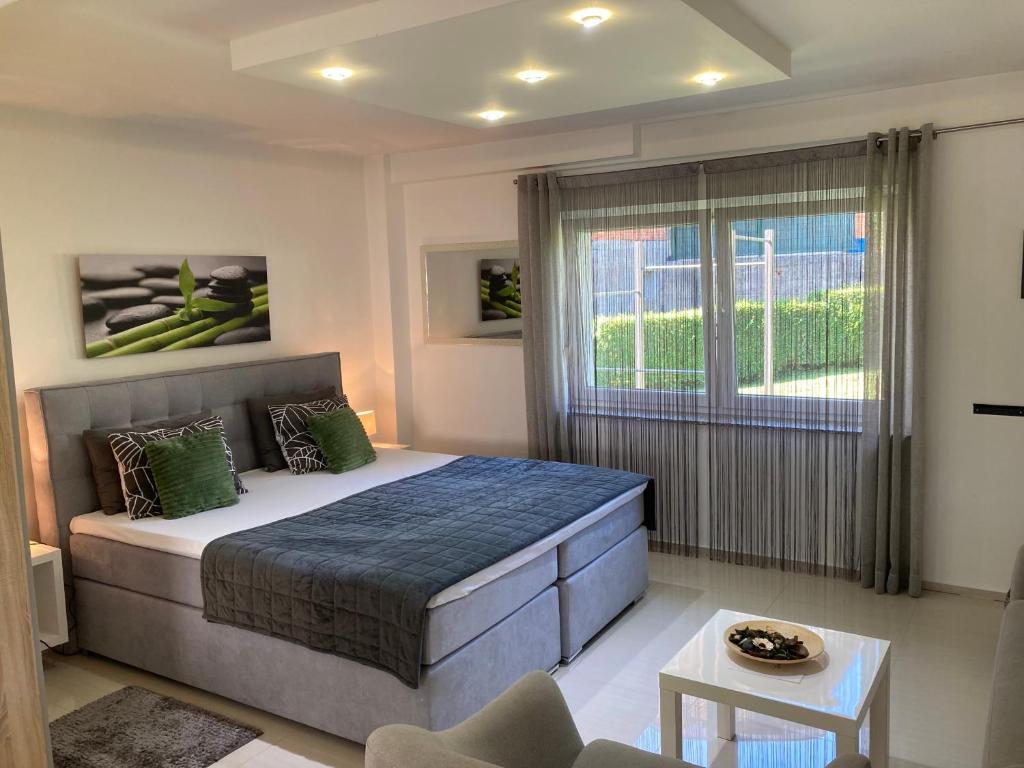 Apartman SONAS with free private parking - 3