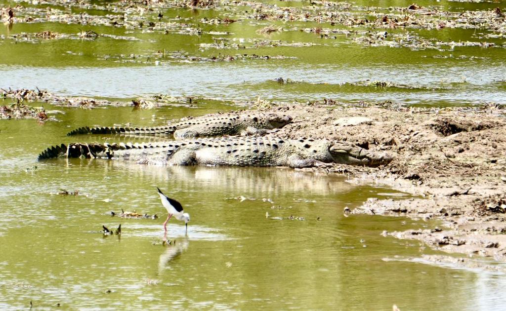 Výhled na řeku, která protéká v blízkosti penzionu
