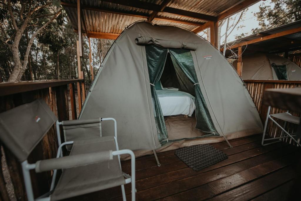 Foto dalla galleria di Storms River Forest Lodge a Stormsrivier