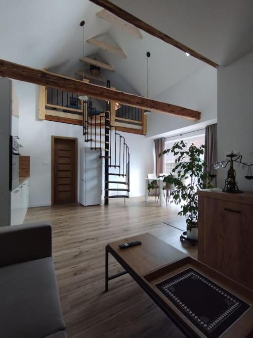 Kuchyň nebo kuchyňský kout v ubytování Apartmán Loft