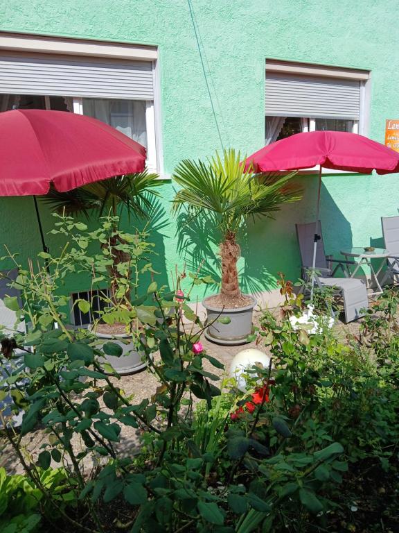 Zahrada ubytování Lamai's Pension