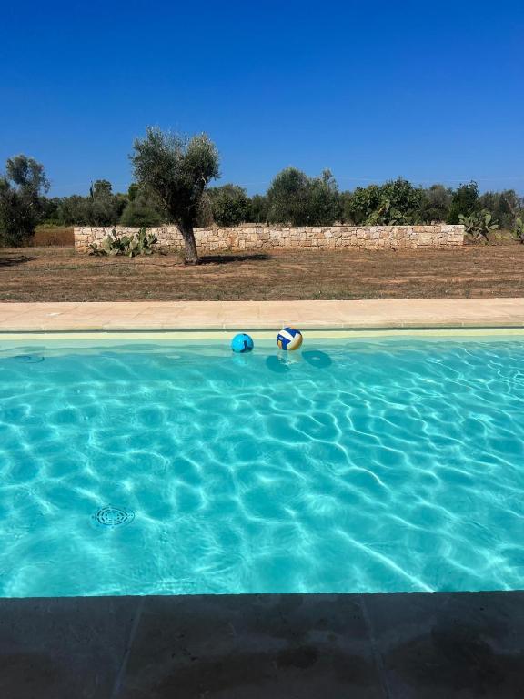 The swimming pool at or close to Villa Casa Bianca di Porto Selvaggio