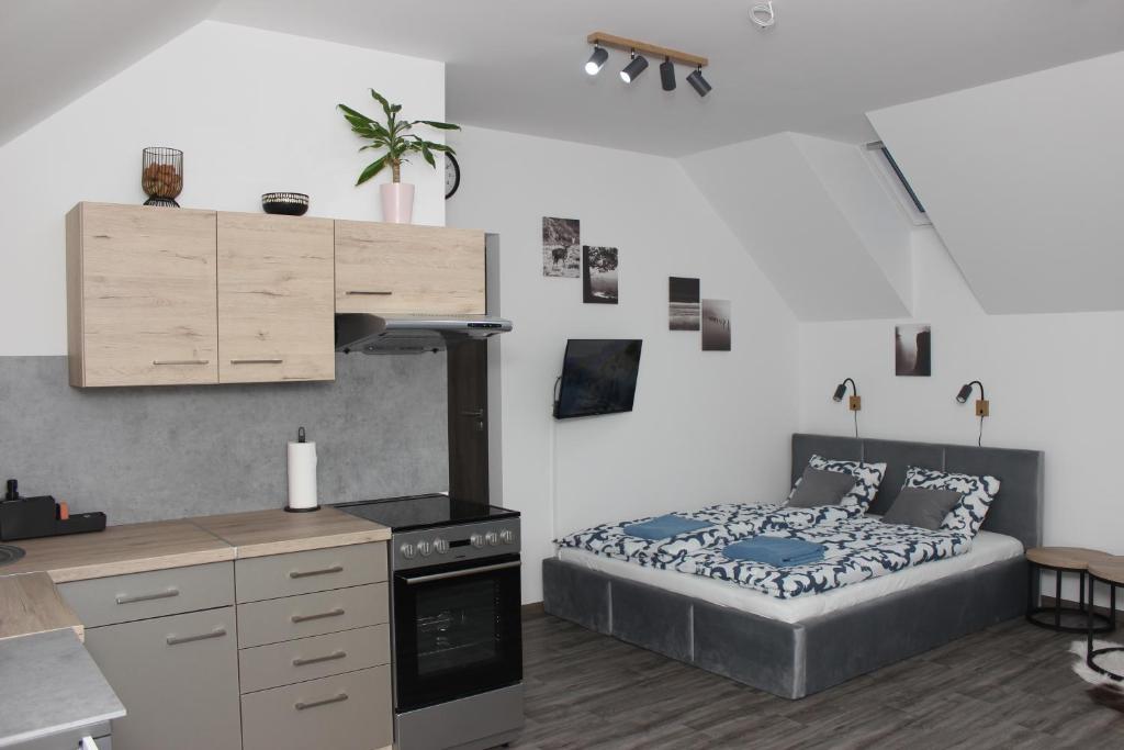 Cucina o angolo cottura di Apartmán Pod Hrází Chráštany