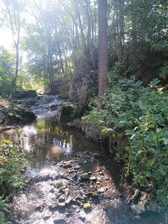Paesaggio naturale nelle vicinanze dell'appartamento