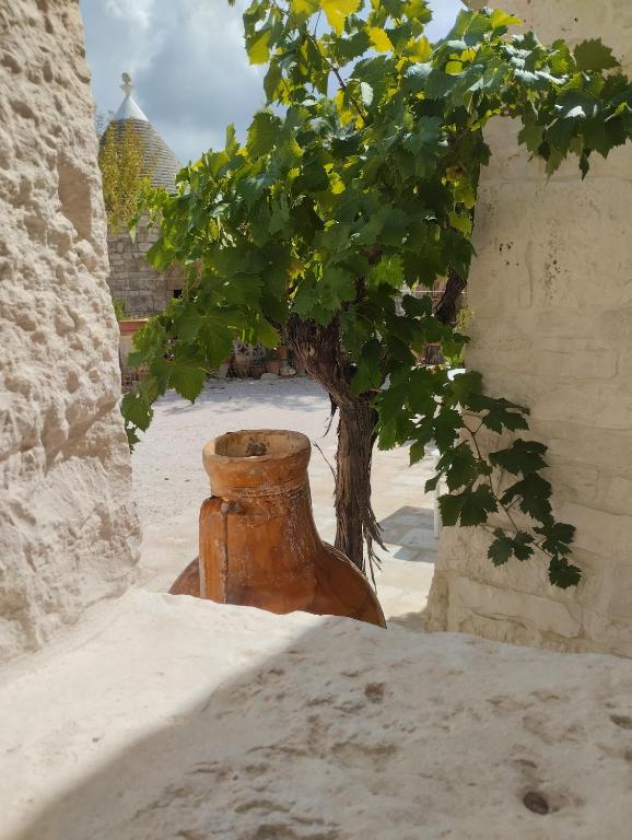 Borgo San Francesco - 4