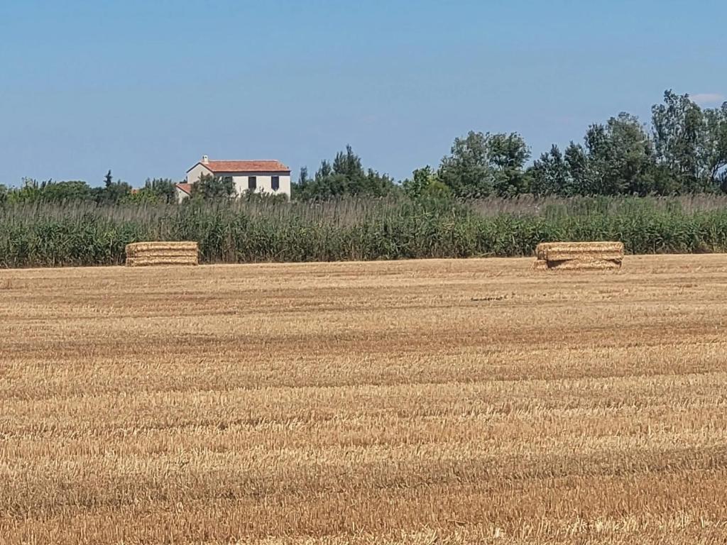 two hay bales in a field with a house in the background at Villa provençale à Arles avec piscine privée et vue jardin. in Arles