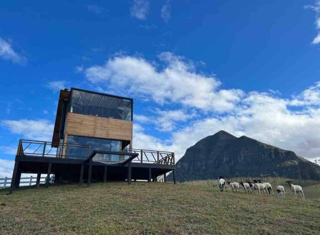 a herd of sheep grazing in a field with a building at Refúgio Paraíso Casa Stellato Spa Panorâmica in Orleans