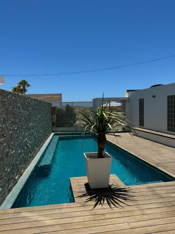a potted plant sitting on a deck next to a pool at REf 107 DUPLEX DUNA PLAYA ZAHARA in Zahara de los Atunes