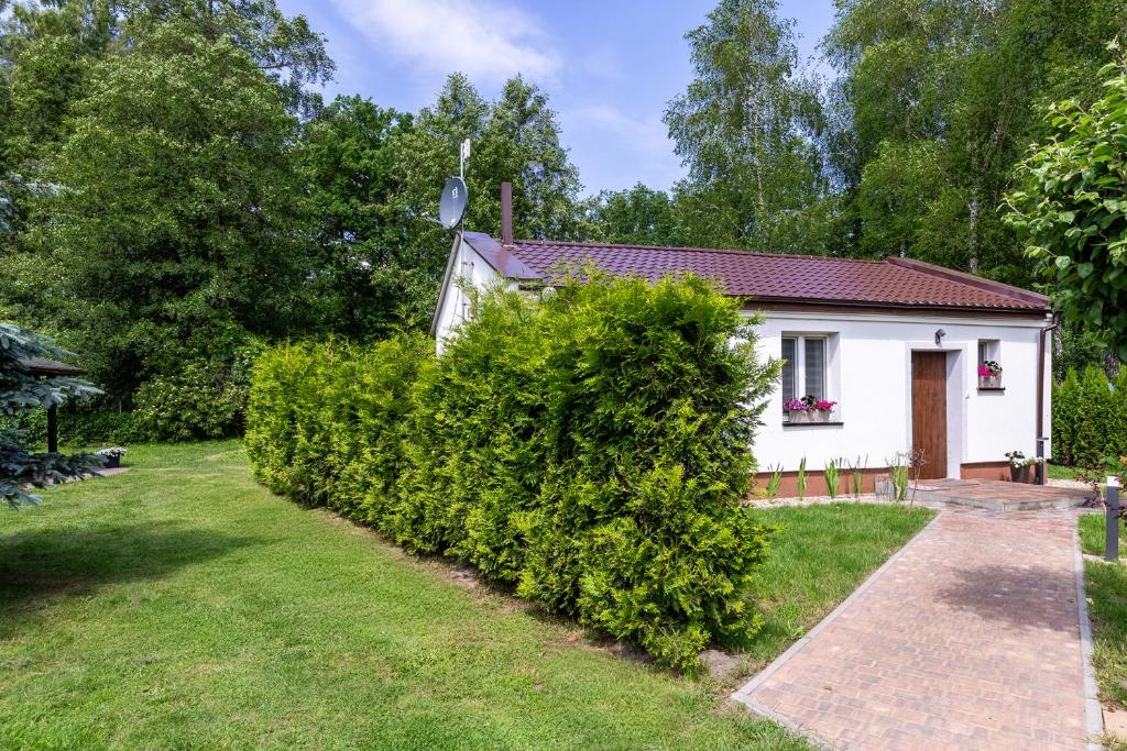 a white house with a hedge in front of it at Agroturystyka Kaczy Brzeg Apartament in Rożnowo