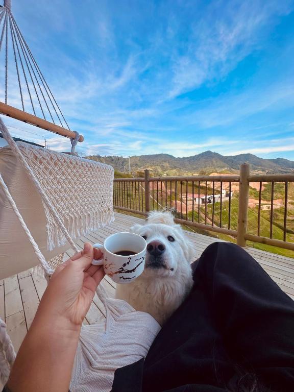 Nespecifikovaný výhled na hory nebo výhled na hory při pohledu z bed and breakfast