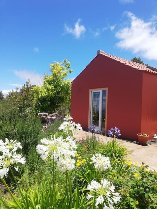 a red house with white flowers in front of it at Ferienhaus Finca Sonrisa in Puntagorda