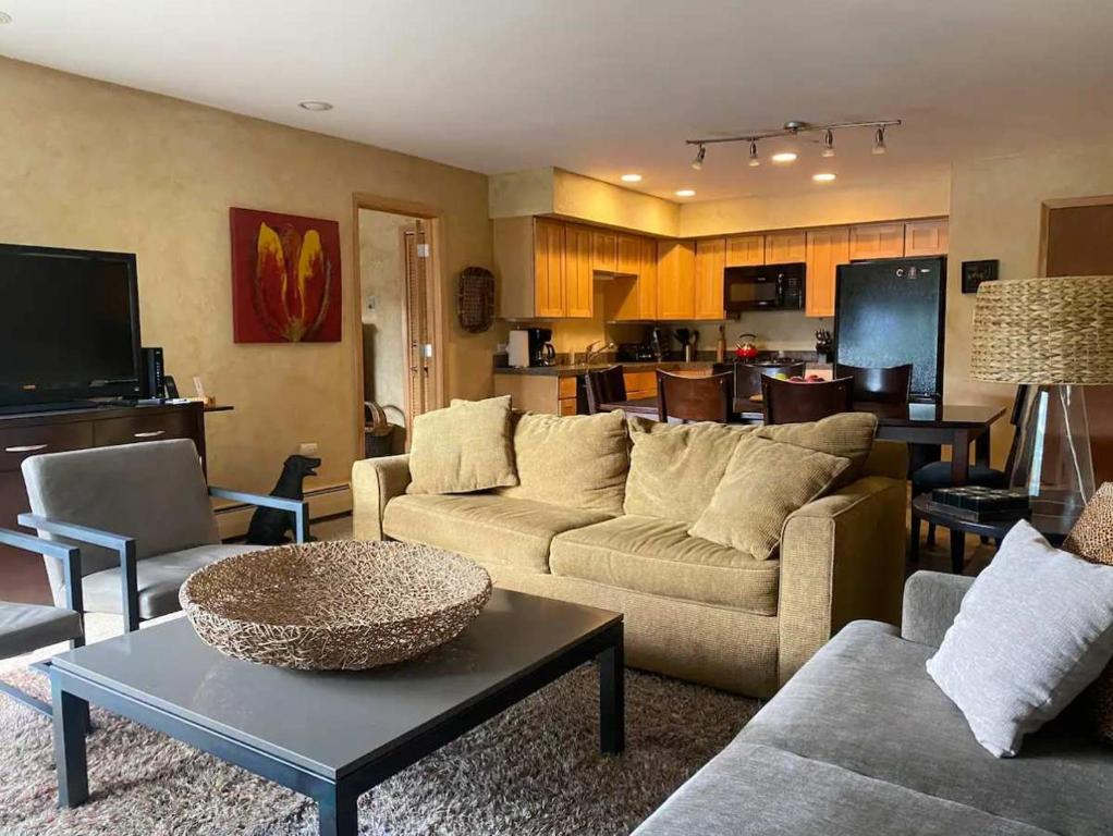 TV a/nebo společenská místnost v ubytování Best location in the heart of lions head, Ski lockers, jacuzzi and pool