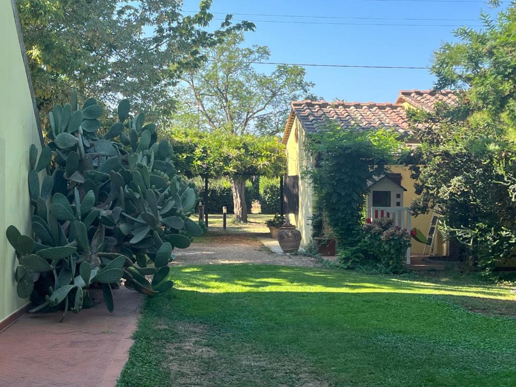 Guest garden apartment Casale salici BARATTI - Appartement 1 Chambre
