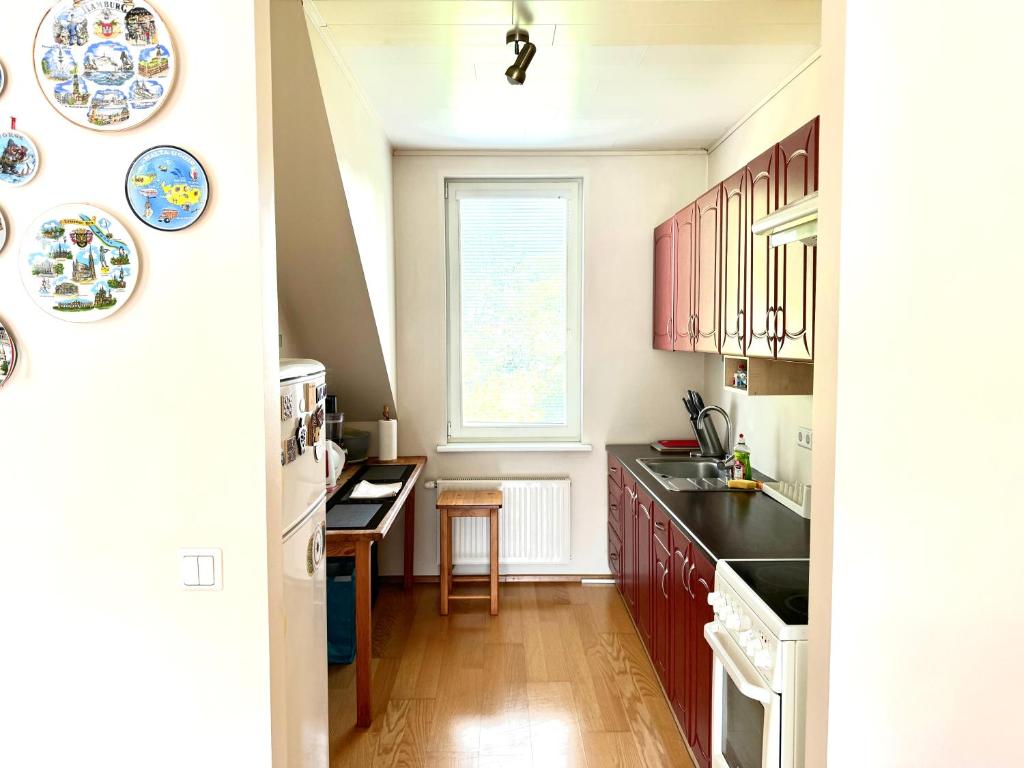 Kuchyň nebo kuchyňský kout v ubytování Maria Rooms